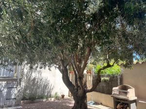 Appartements Village Cargese 2 : photos des chambres