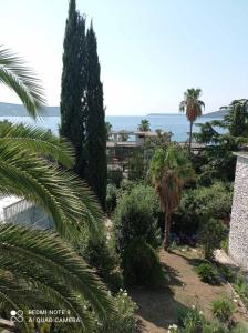One-Bedroom Apartment room in Guest House Goca