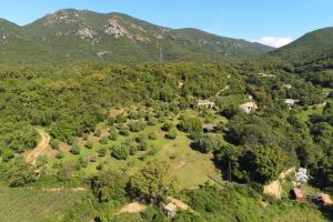 Maisons de vacances Teresa - Garden Terrace Splendid view - by TGB : photos des chambres