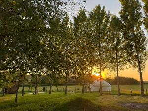 Hinton land glampsite