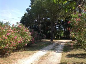 Un îlot tropical en Cévennes