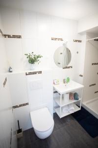 Apartment Studio Green