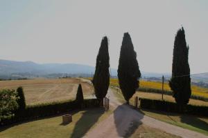Casale Nonno Dario, Balcone delle Marche Cingoli