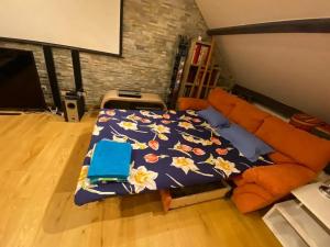 Villas Villa spacieuse avec piscine pres de Geneve : photos des chambres