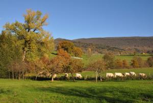 Terres de la Grange B&B