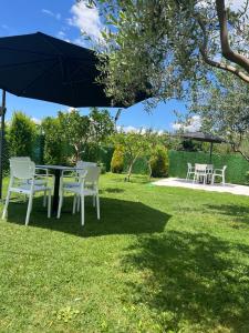 Villa Visi