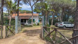 Villa Alba img3