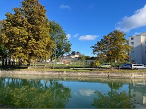 Appartements Les Rives Remoises : photos des chambres