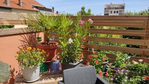 Appartements Les Bonbonieres d'Andrea Gavinies Pellegrin : photos des chambres