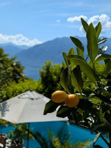 Giardino Segreto - Hidden gem