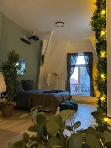 Appartements zen 2 : photos des chambres