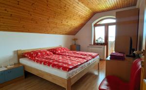 SIMA - RELAX, Žilina