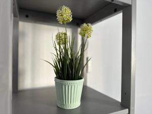 Ferienwohnung zur Linde