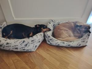 In Piazzetta - Cernobbio