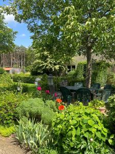 LOGIES Tuin der Zinnen
