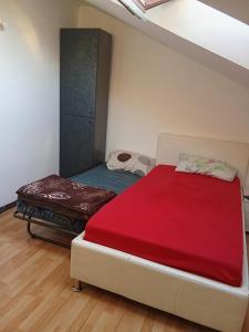 Sejours chez l'habitant Zimmer chambre dans une Appartemnt a mulhouse : photos des chambres