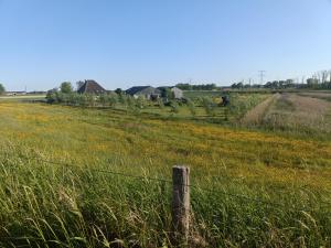 Farmstay Zijperdijk