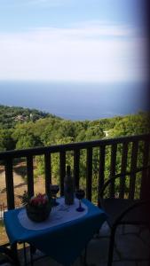 Diogenis Hotel Pelion Greece