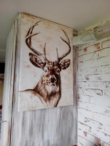 Campings Caravane le fermier : photos des chambres