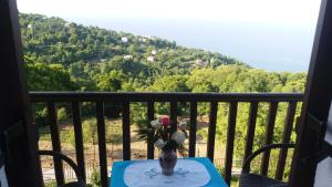 Diogenis Hotel Pelion Greece