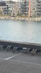 Perfetto appartment in the first coastline