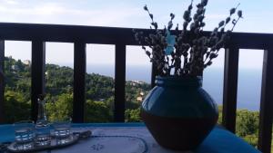 Diogenis Hotel Pelion Greece