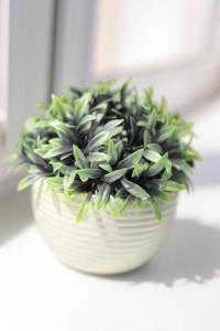 Urban Chic - Rynek Squre - Great Location & Swidnicka