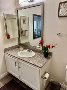 Beehive on the Block