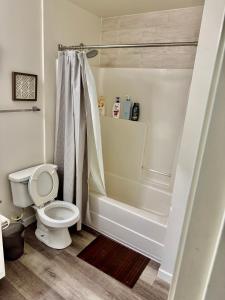 Beehive on the Block