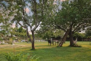 Sejours chez l'habitant Les Chambres de Lasserre - Chambres et Table d'hotes : photos des chambres