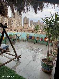 Roof of Comfort & Calm in Maadi