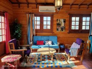 Roof of Comfort & Calm in Maadi