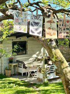 Przechowalnia Marzeń- Adults Only