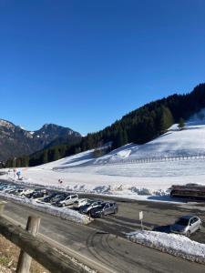 Appartements Edelweiss, Studio 5 pers, balcon sud est, vue sur les montagnes : photos des chambres