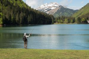 Appartements Edelweiss, Studio 5 pers, balcon sud est, vue sur les montagnes : photos des chambres