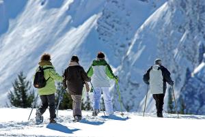 Appartements Edelweiss, Studio 5 pers, balcon sud est, vue sur les montagnes : photos des chambres