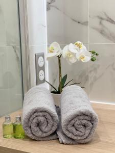 Appartements Thelissa Modern Studio - Front Metro station - Free parking : photos des chambres