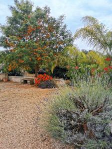 Villa LVM San Vito Dei Normanni BR Italy