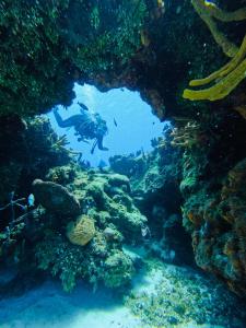 Casamaya Hostel & Diving