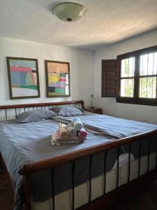 Toro Vista Casita - 1-2 bedrooms