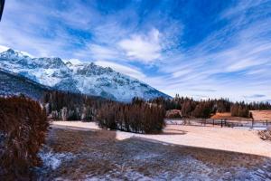 Fiore del Brenta 2 a 50 m dalla fermata dello skibus gratuito