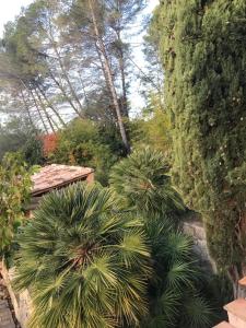 Maisons d'hotes Le jardin secret de Laura : photos des chambres