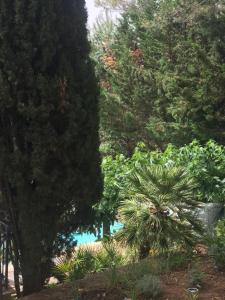 Maisons d'hotes Le jardin secret de Laura : photos des chambres