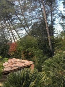 Maisons d'hotes Le jardin secret de Laura : photos des chambres