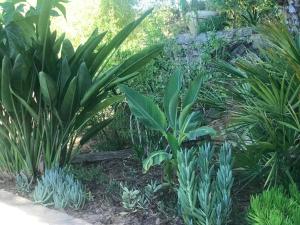 Maisons d'hotes Le jardin secret de Laura : photos des chambres