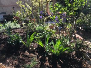 Maisons d'hotes Le jardin secret de Laura : photos des chambres