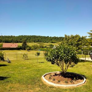 B&B / Chambres d'hotes Demeure des Lions : photos des chambres