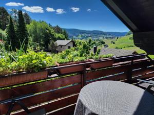 Apartment with View and Balcony room in Schwarzwald-Ferienwohnungen Begert