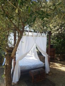 Villas couples AMOUREUX gde propriete 4000M2 avec 2 maisons independantes grande piscine privee clim : photos des chambres