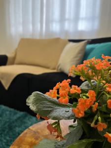 Espaço Muniz - 3hvězdičkové hotely ve městě Campos do Jordão